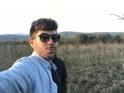 albertpv