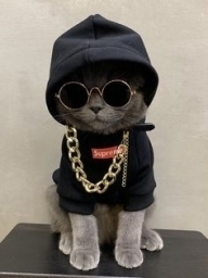 cuongbadboy
