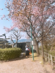 kotoha