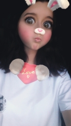 pandalex