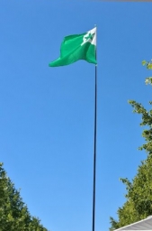 pensulo