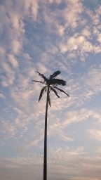moon06