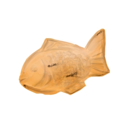 taiyaki