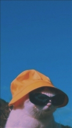 xinkao