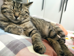 zzzzhou
